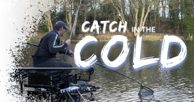 Catch in the Cold 2