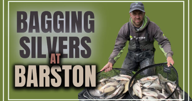 bagging silvers at barston