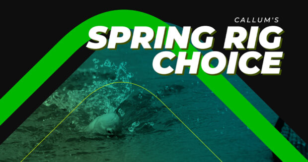 spring rig choice