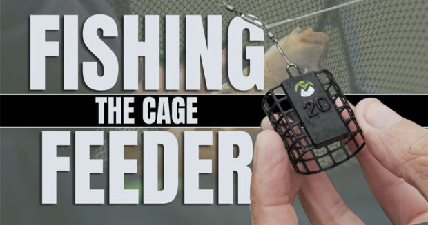 fishing the cage feeder
